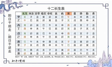 地支十二長生|十二長生:描述,八字解讀,